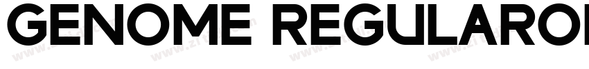 Genome RegularObliq字体转换